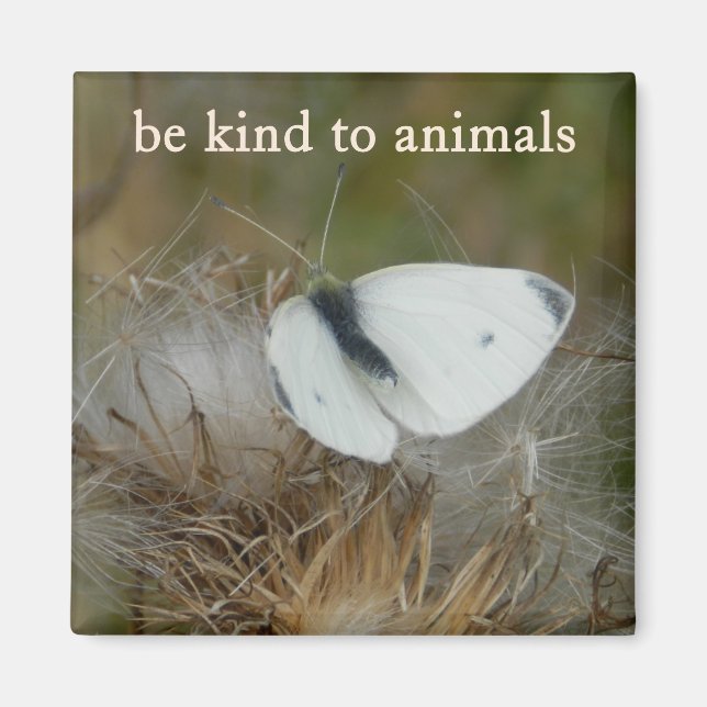 White Butterfly "Be Kind to Animals" Magnet (Vorne)