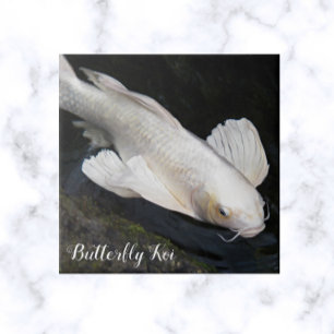 White Butterfly Koi Foto Fliese