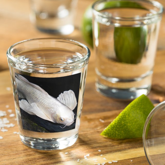 White Butterfly Koi Foto Schnapsglas (In Situ)