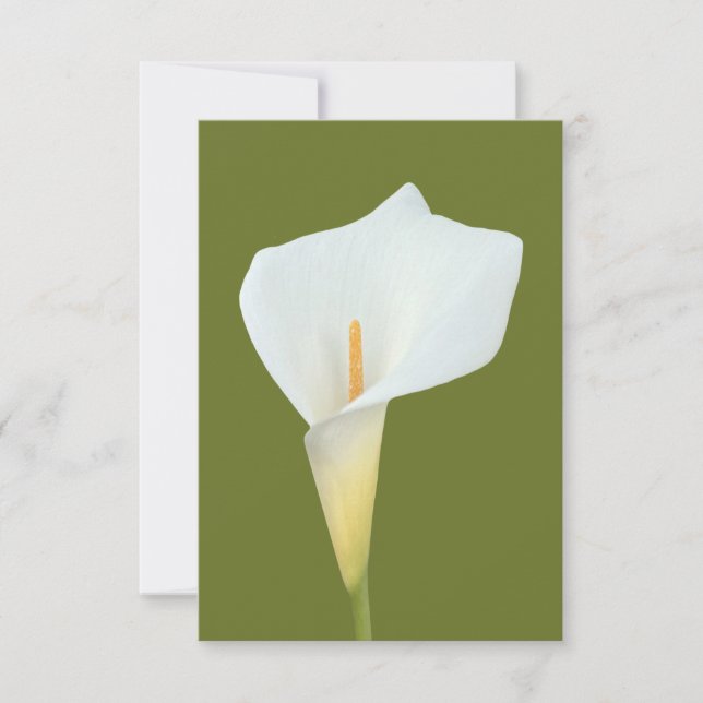 White Calla Blume Gartengarten Foto Karte (Vorderseite)