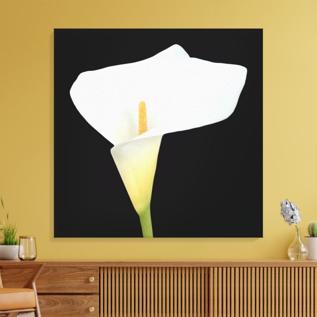 White Calla Blume Gartengarten Foto Leinwanddruck (Insitu (Wohnzimmer))