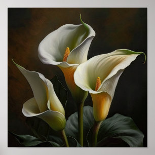 White Calla Lilies Lily Blume Art Print Poster