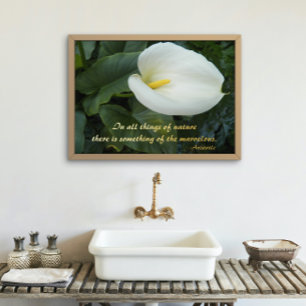 White Calla Lily Aristoteles Philosophisches Zitat Foliendrucke