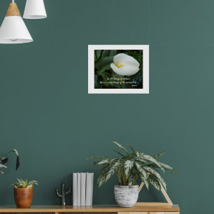 White Calla Lily Aristoteles Philosophisches Zitat Poster
