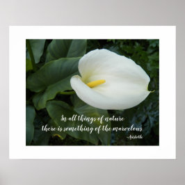 White Calla Lily Aristoteles Philosophisches Zitat Poster