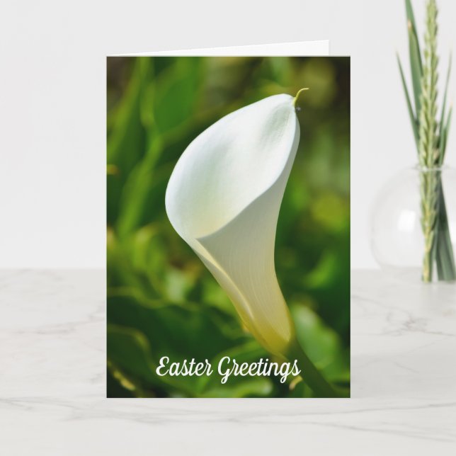 White Calla Lily Blume Ostercard Karte (Vorderseite)