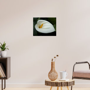 White Calla Lily Floral Fotografie Poster