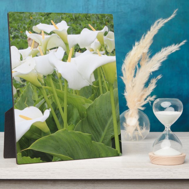 White Calla Lily Fotoplatte (Seite)