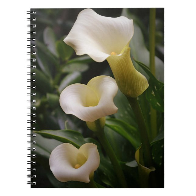 White Calla Lily Garden Journal-Notebook Notizblock (Vorderseite)