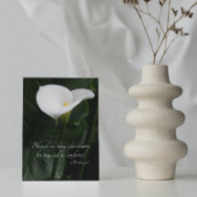 White Calla Lily Religious Beileid