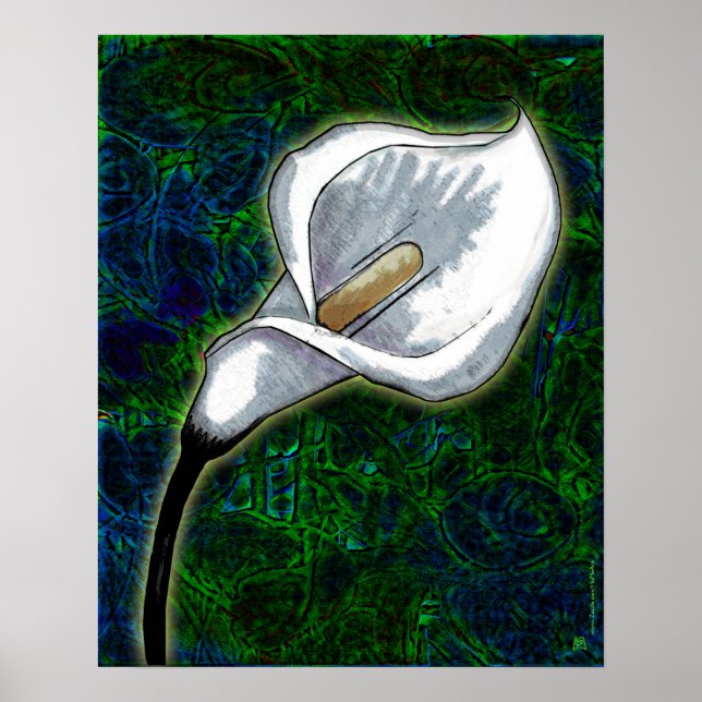 White Calla Lily (Semi Gloss Poster) Poster (Vorne)