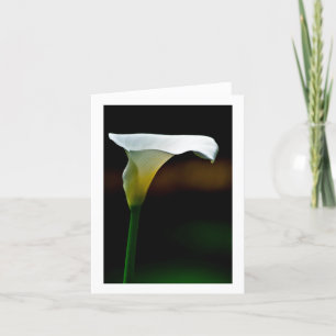 White Calla Lily Stationary