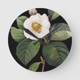 White Camellia Runde Wanduhr