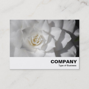 White Camellia Visitenkarte