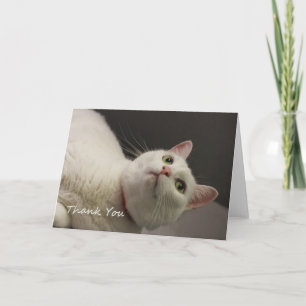 White Cat Danke, dass ihr euch für eine Sache ents Dankeskarte