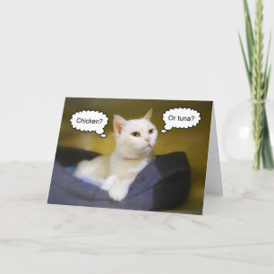 White Cat Funny Birthday Card Karte