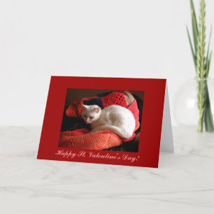 White Cat Happy St. Valentine's Day! Feiertagskarte