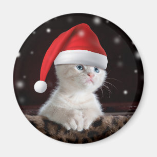 White Cat in Santa Claus Hat Magnet