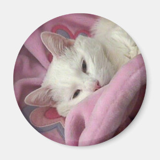White Cat Magnet