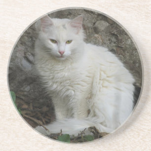 White Cat Untersetzer