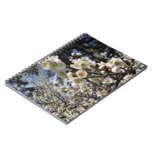 White Cherry Blossom / Sakura / サクラ(桜) Notizblock