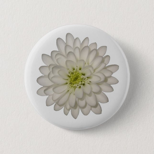 White Chrysantheman Button (Vorderseite)