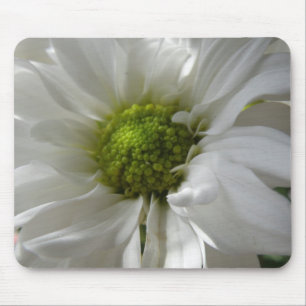 White Chrysanthemum Mousepad