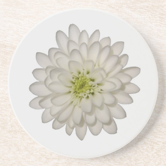 White Chrysanthemum Sandstone Untersetzer (Vorne)
