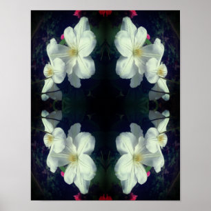 White Clematis Blume Pair Abstrakt Poster