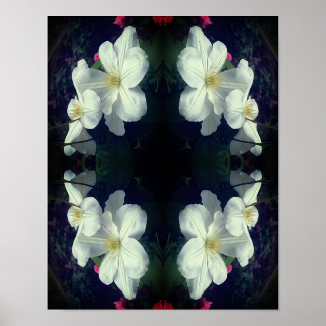 White Clematis Blume Pair Abstrakt Poster (Vorne)