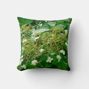 White Climbing Hydrangea - Kissen