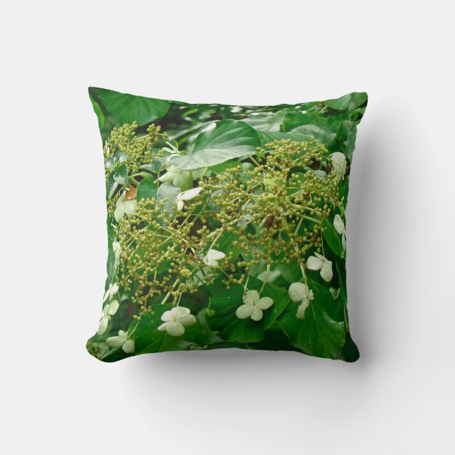 White Climbing Hydrangea - Kissen (Vorderseite)