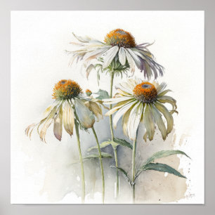 White Conefwers Art Print Poster
