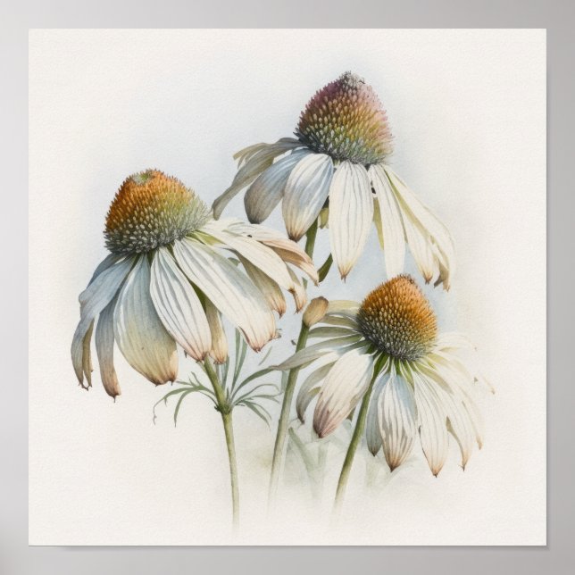 White Conefwers Art Print Poster (Vorne)