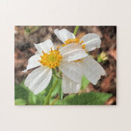 White Cosmo Blume Garten Frühlingsflora Nah Puzzle