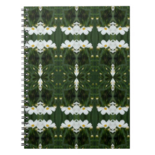 White Cosmos Blume Abstrakt Art Notebook Notizblock