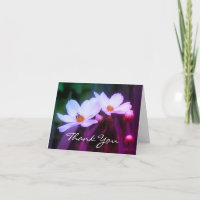 White Cosmos Blume und Bewundern Sie Ihre Karte