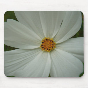 White Cosmos Sommer-Wildblume Mousepad