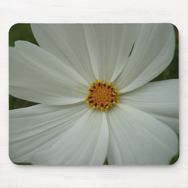 White Cosmos Sommer-Wildblume Mousepad (Vorne)