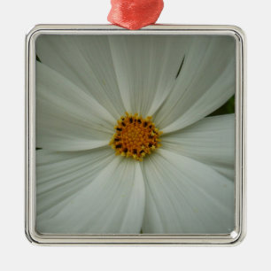 White Cosmos Sommer-Wildblume Ornament Aus Metall