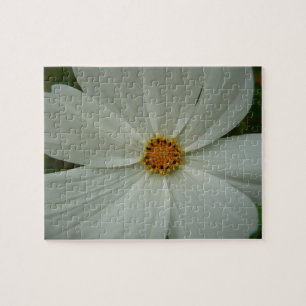 White Cosmos Sommer-Wildblume Puzzle