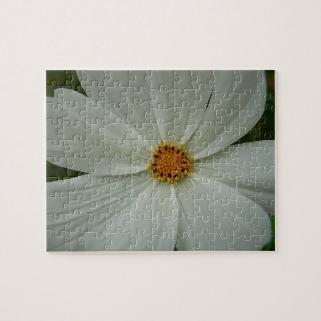 White Cosmos Sommer-Wildblume Puzzle (Horizontal)