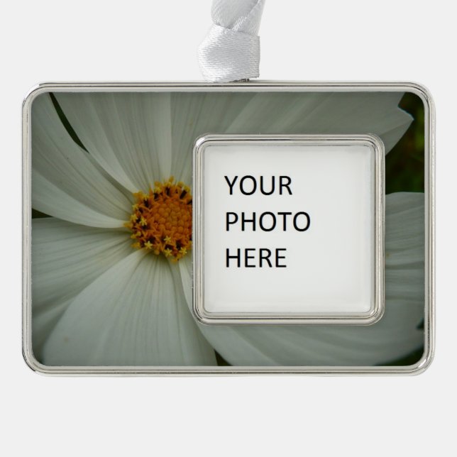 White Cosmos Sommer-Wildblume Rahmen-Ornament Silber (Vorderseite)