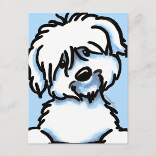 White Coton de Tulear Face Postkarte