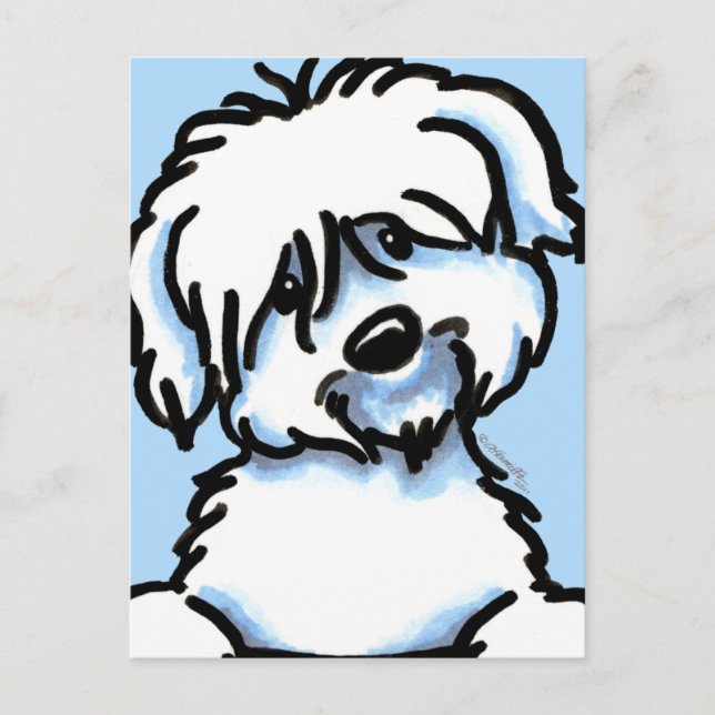 White Coton de Tulear Face Postkarte (Vorderseite)