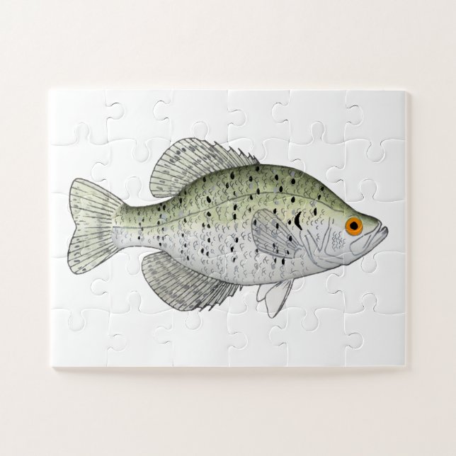 White Crappie Magnet Puzzle (Horizontal)