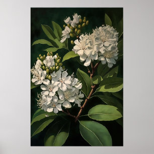 White Crepe Myrtle Blume Art Print Poster