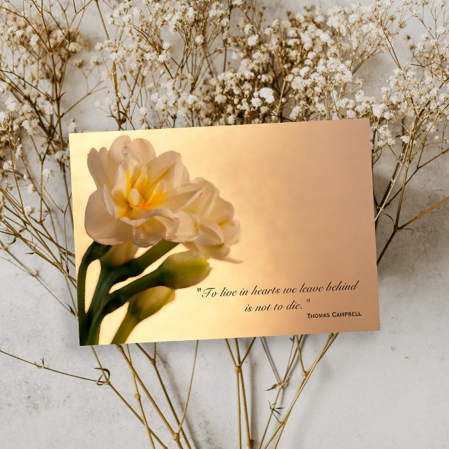 White Daffodien Vielen Dank für Ihr Beileid Dankeskarte (Von Creator hochgeladen)