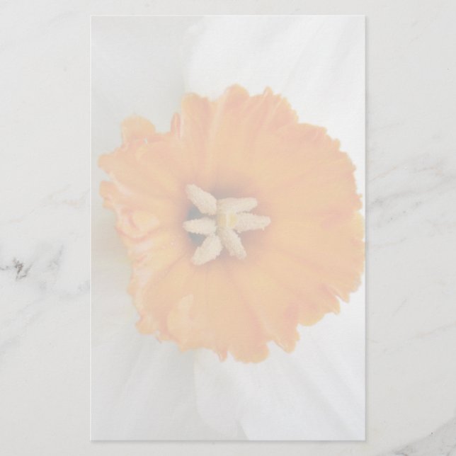 White Daffodil Stationery Briefpapier (Vorderseite)