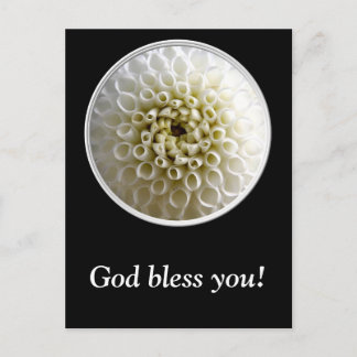 White Dahlia Nah-up Postkarte